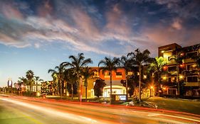 Gamma Tijuana